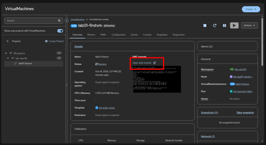 VNC web console